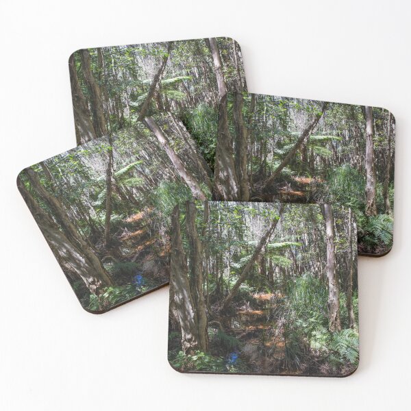 Item preview, Mangrove at Kooloonbung Creek Nature Park in Port Macquarie designed and sold by frommyhorizon.