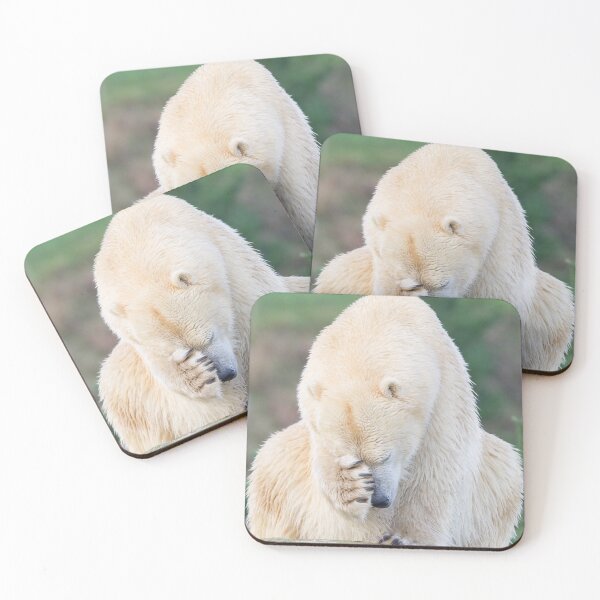 Item preview, Shy Polar Bear designed and sold by LFPPhotography.