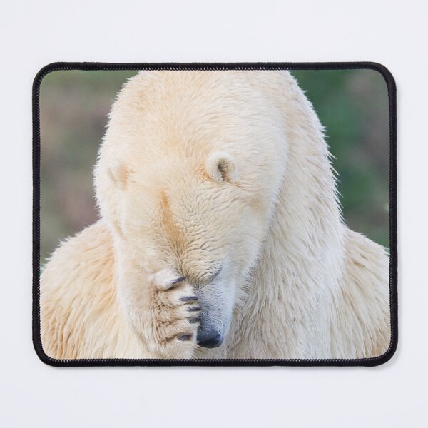 Item preview, Shy Polar Bear designed and sold by LFPPhotography.