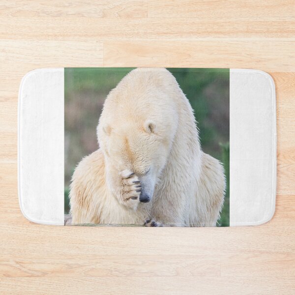 Item preview, Shy Polar Bear designed and sold by LFPPhotography.