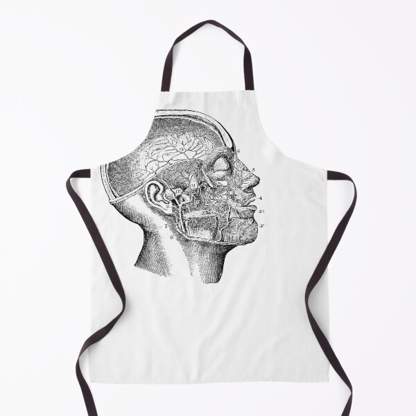 Item preview, Anatomical vintage drawing skull designed and sold by perfektdesign.