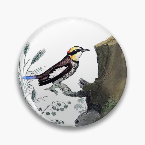 Item preview, Exotic Bird Antique Engraving designed and sold by louisxvpod.