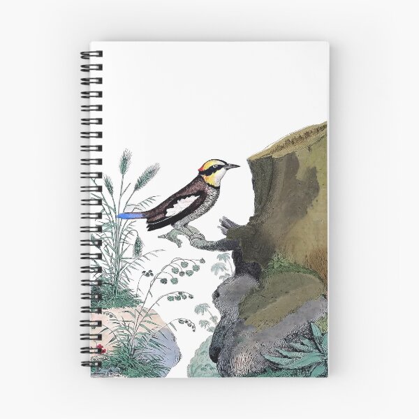 Item preview, Exotic Bird Antique Engraving designed and sold by louisxvpod.