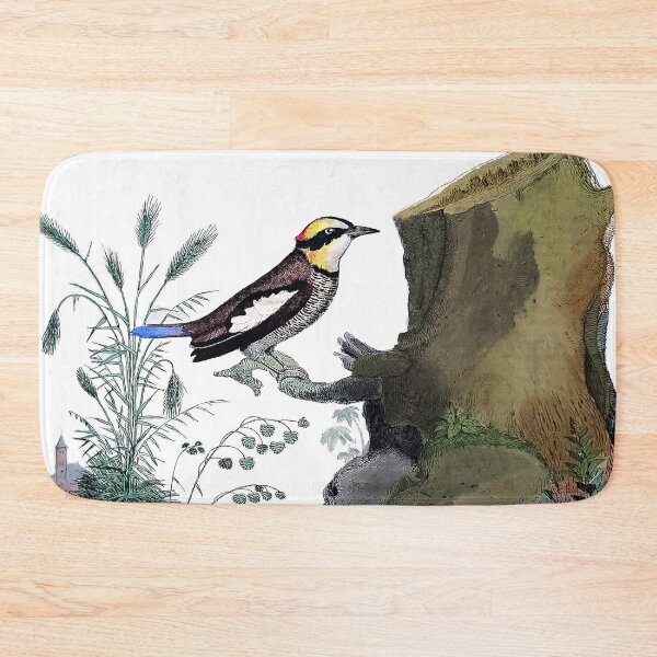 Item preview, Exotic Bird Antique Engraving designed and sold by louisxvpod.
