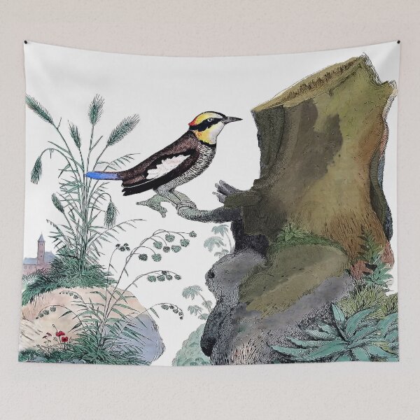 Item preview, Exotic Bird Antique Engraving designed and sold by louisxvpod.