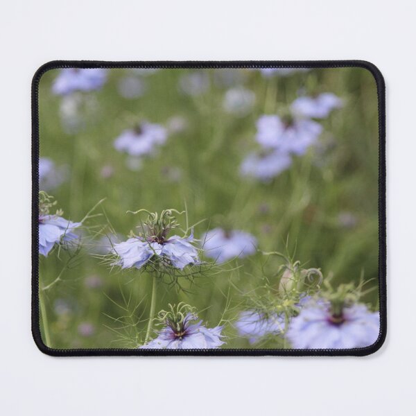 Item preview, Love in a Mist designed and sold by ASTRID EWING.