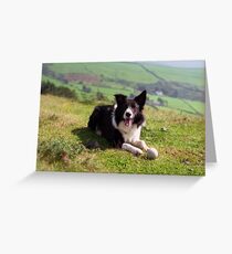 Indy: 19th March 1998 to 19th December 2011 Greeting Card