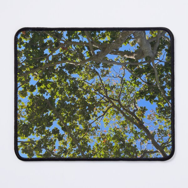 Item preview, Maui Canopy designed and sold by Warm Fuzzies By Amanda.
