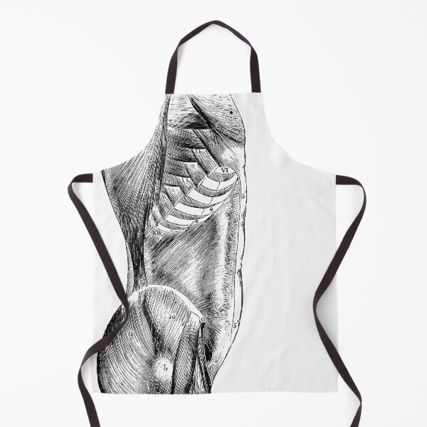Item preview, Anatomical vintage drawing torso designed and sold by perfektdesign.