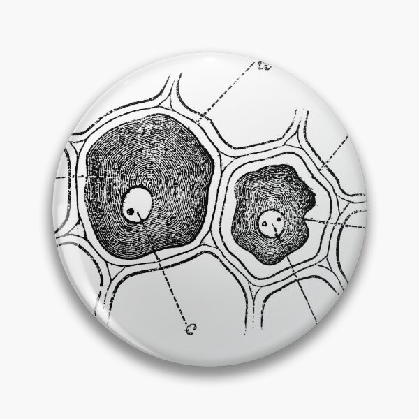 Item preview, Anatomical vintage drawing cell designed and sold by perfektdesign.