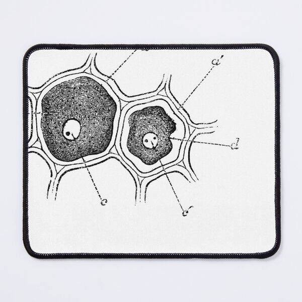 Item preview, Anatomical vintage drawing cell designed and sold by perfektdesign.