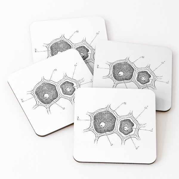 Item preview, Anatomical vintage drawing cell designed and sold by perfektdesign.