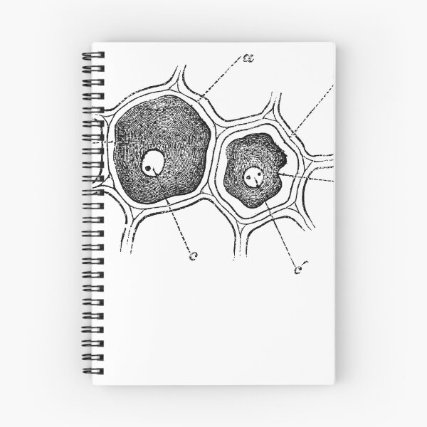 Item preview, Anatomical vintage drawing cell designed and sold by perfektdesign.