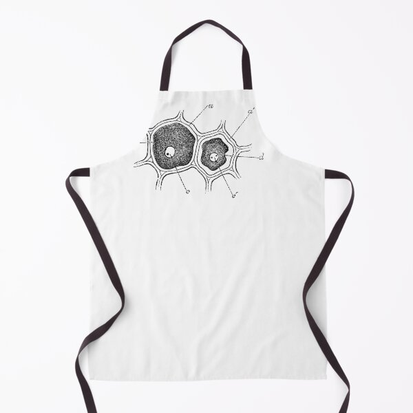Item preview, Anatomical vintage drawing cell designed and sold by perfektdesign.