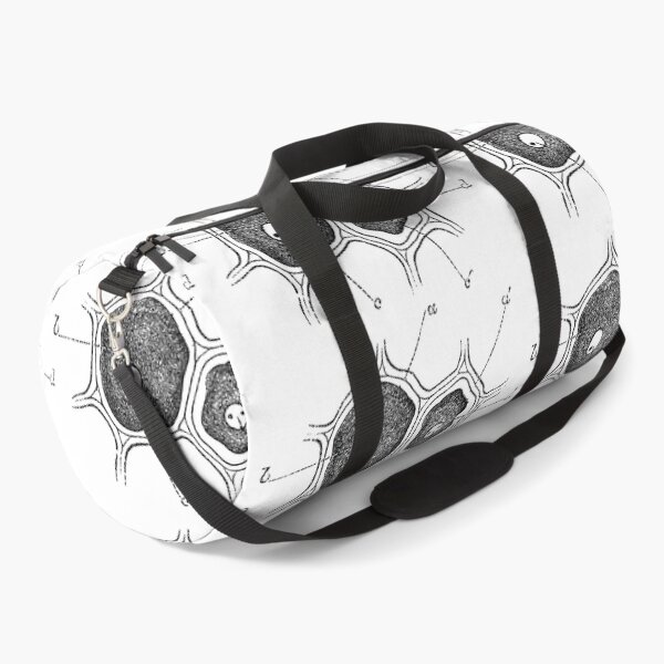 Item preview, Anatomical vintage drawing cell designed and sold by perfektdesign.