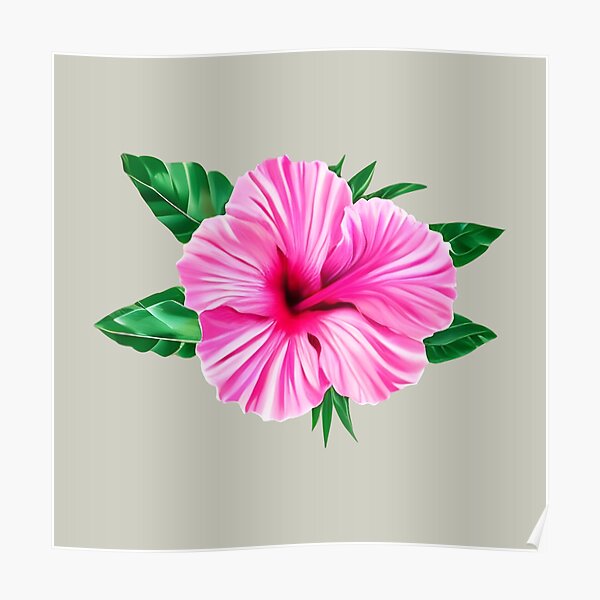 Toronto Blue Jays White Hibiscus Salmon Background 3D Hawaiian