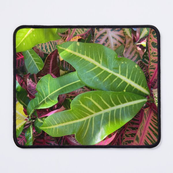 Item preview, Leaf Foliage designed and sold by Warm Fuzzies By Amanda.