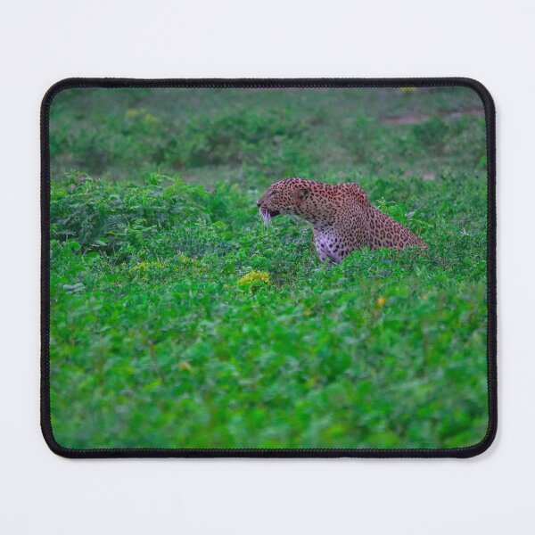 Item preview, Leopard looking for a target designed and sold by brunno1234.