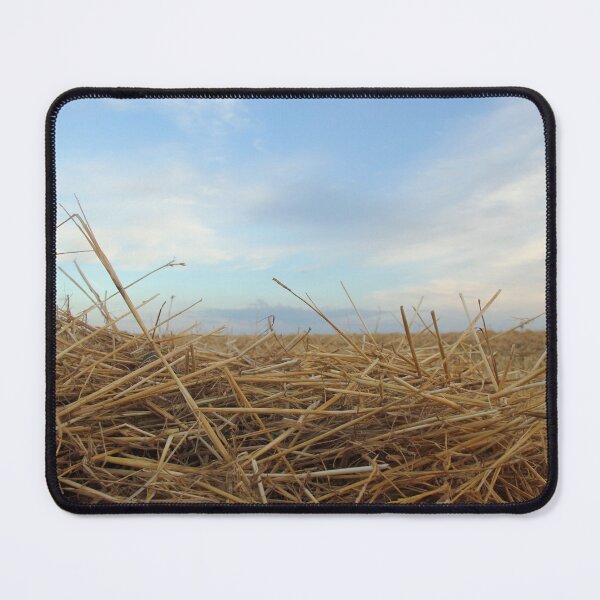 Item preview, Wheat hay harvest field with sky designed and sold by Angela Cini.