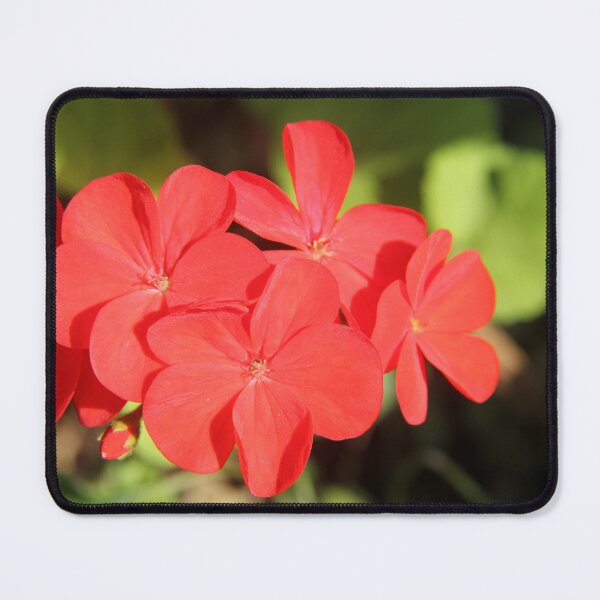 Item preview, Beautiful red geranium flower designed and sold by Angela Cini.