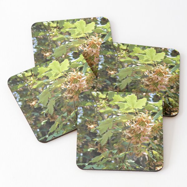 Item preview, Maple Tree Samara Crop designed and sold by Angela Cini.