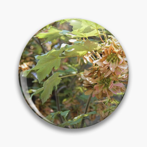 Item preview, Maple Tree Samara Crop designed and sold by Angela Cini.