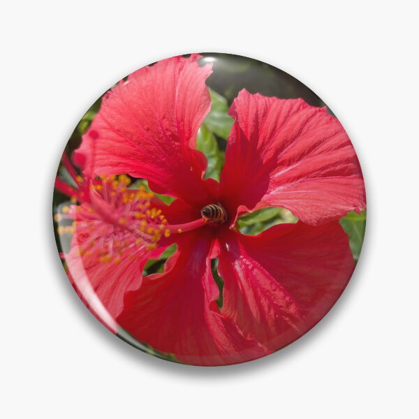 Item preview, Red Hibiscus & Honey Bee designed and sold by Warm Fuzzies By Amanda.