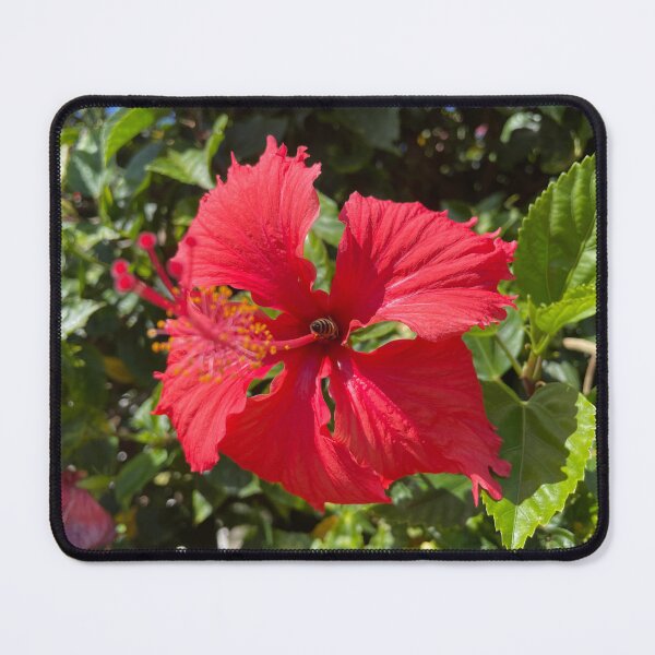 Item preview, Red Hibiscus & Honey Bee designed and sold by Warm Fuzzies By Amanda.