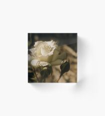 Old Beauty Acrylic Block