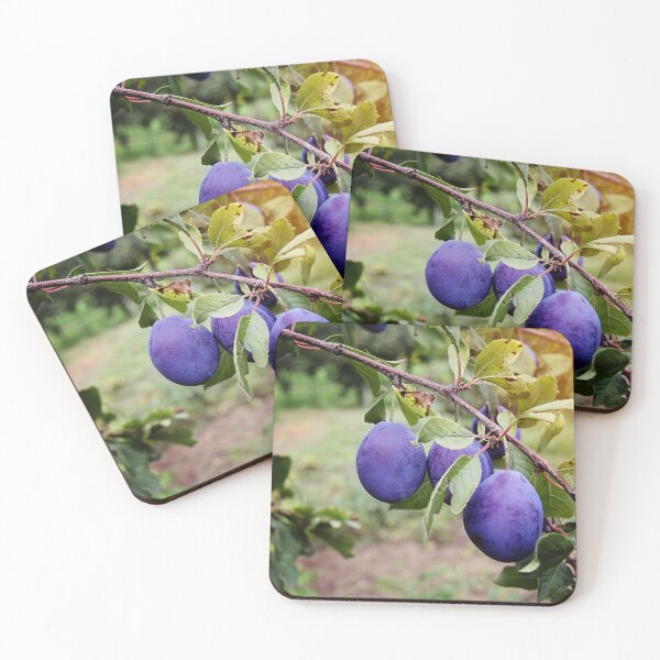 Item preview, Beautiful Plum Branch on the Tree designed and sold by Angela Cini.