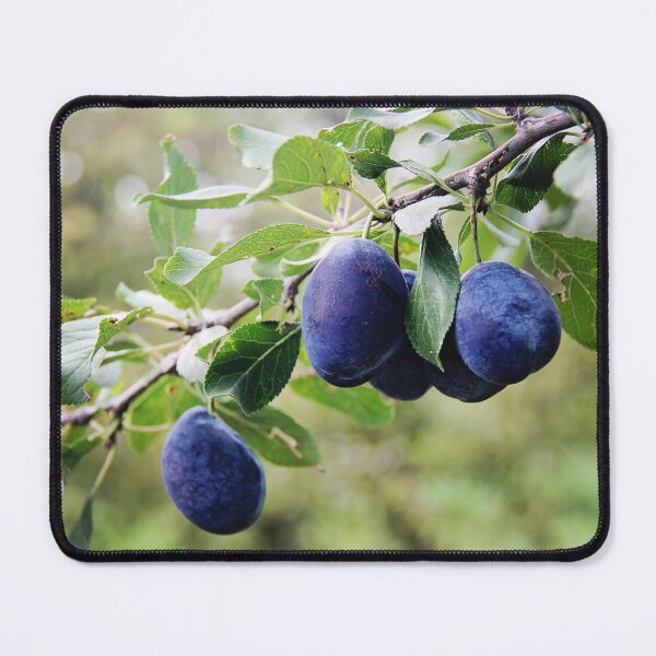 Item preview, Beautiful Plum Branch on the Tree designed and sold by Angela Cini.