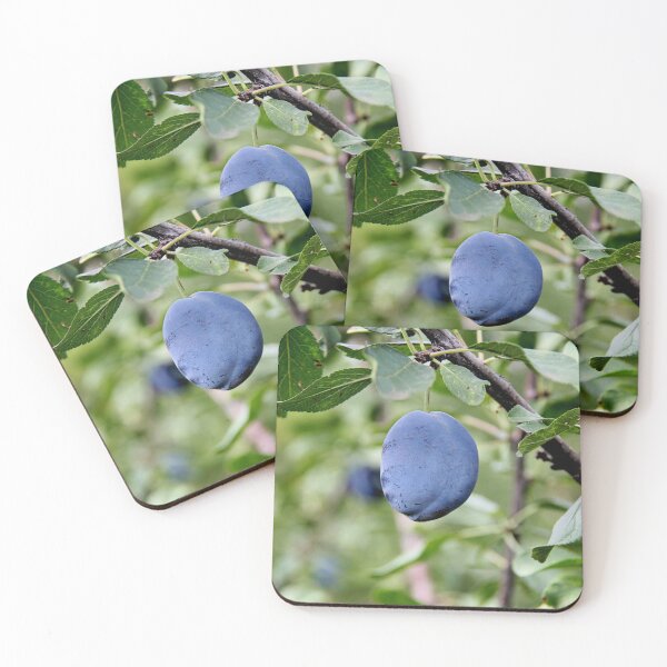 Item preview, Beautiful Plum Branch on the Tree designed and sold by Angela Cini.