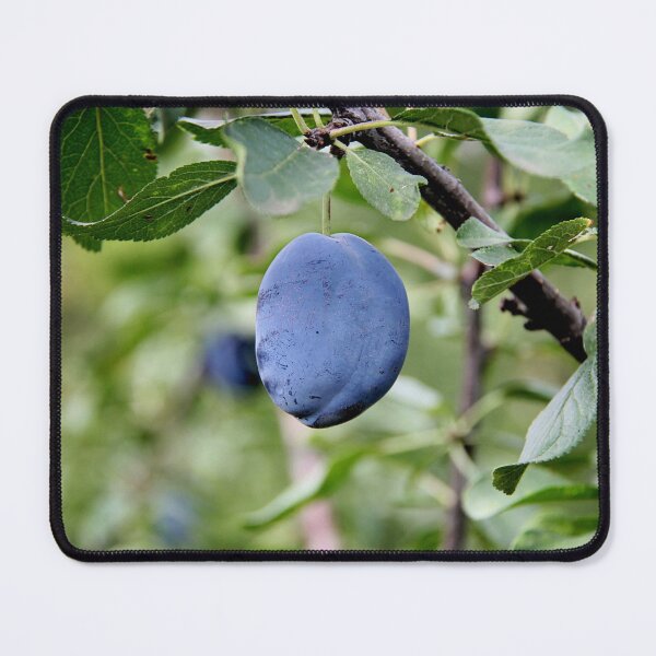 Item preview, Beautiful Plum Branch on the Tree designed and sold by Angela Cini.