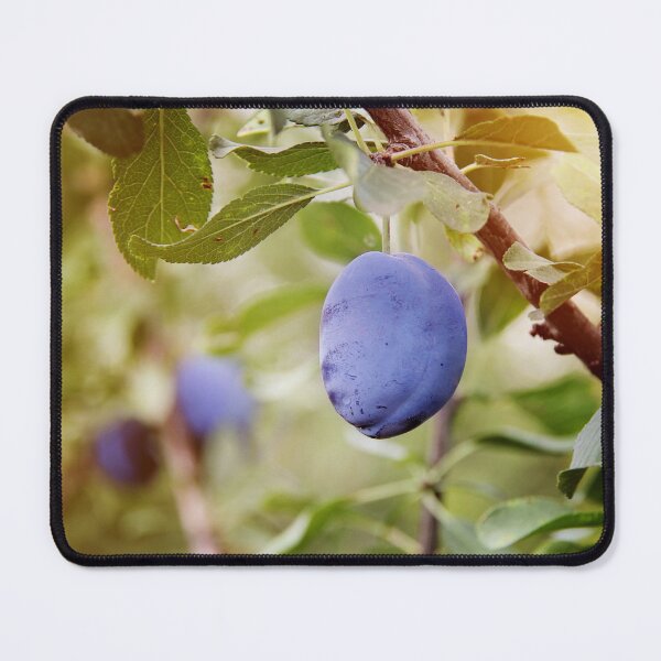 Item preview, Beautiful Plum Branch on the Tree designed and sold by Angela Cini.