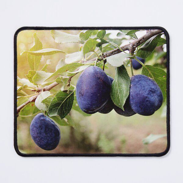 Item preview, Beautiful Plum Branch on the Tree designed and sold by Angela Cini.