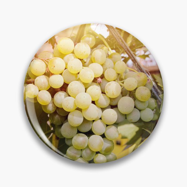 Artikelvorschau, Beautiful Green White Grapes in Vineyard Closeup entworfen und verkauft von Angela Cini.