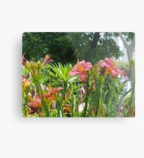 Pink Orchid Metal Print