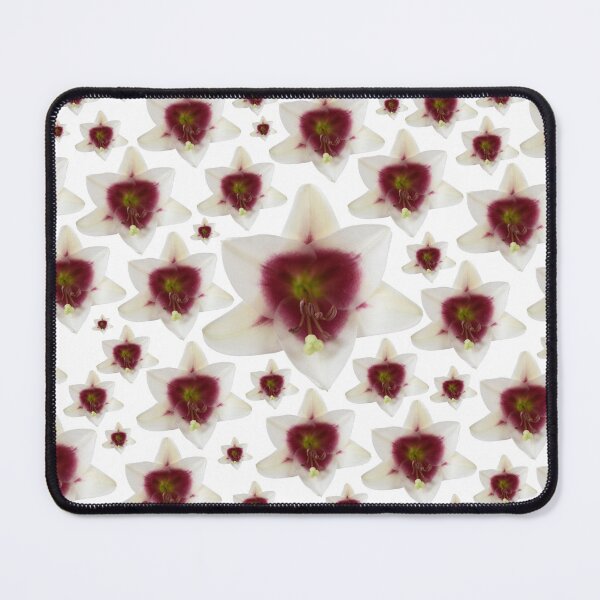 Item preview, Lilium  Triumphator = 'Zanlophator' designed and sold by Chris Burrows.