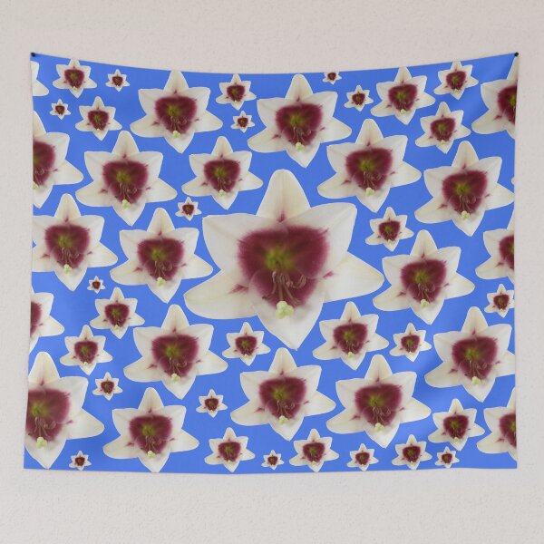 Item preview, Lilium  Triumphator = 'Zanlophator' designed and sold by Chris Burrows.