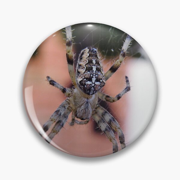 Artikelvorschau, Spider closeup photo entworfen und verkauft von Angela Cini.