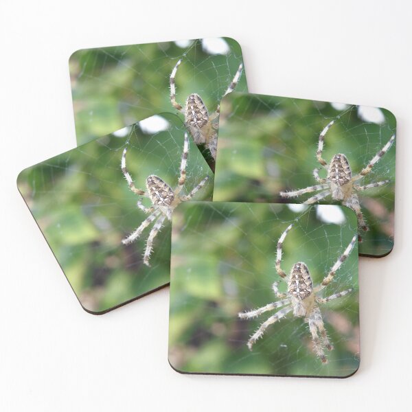 Item preview, Spider on web closeup photo designed and sold by Angela Cini.