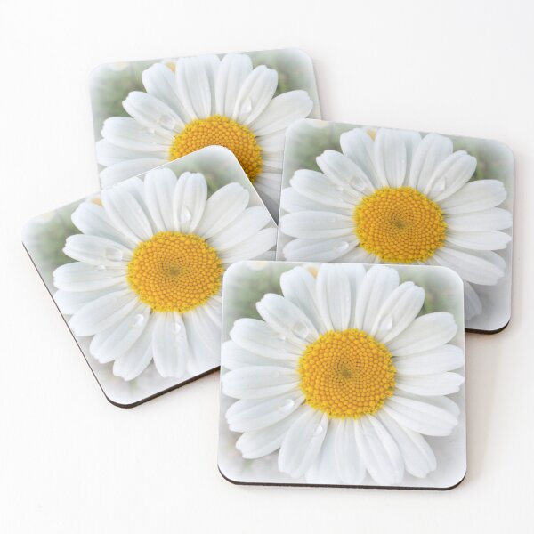 Item preview, Meadows Daisy designed and sold by angel1.