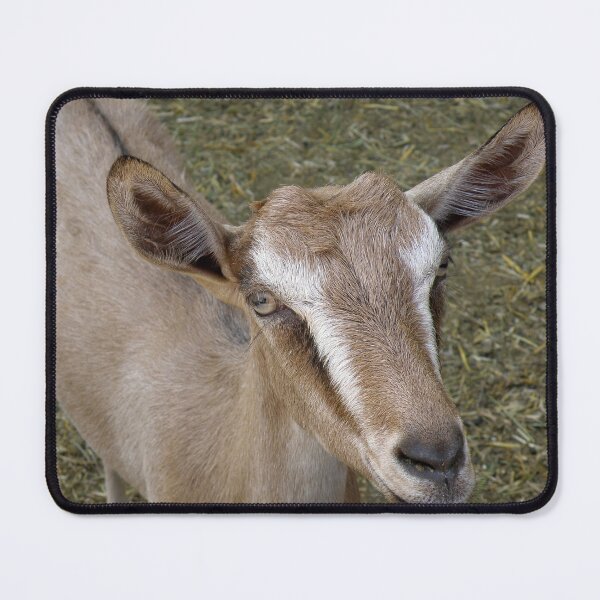 Item preview, Brown Goat designed and sold by Angela Cini.