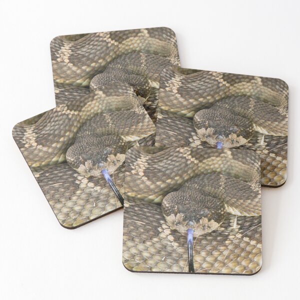 Item preview, Angry Northern Pacific Rattlesnake Coiled in Defensive Posture Ready to Strike designed and sold by yhelfman.