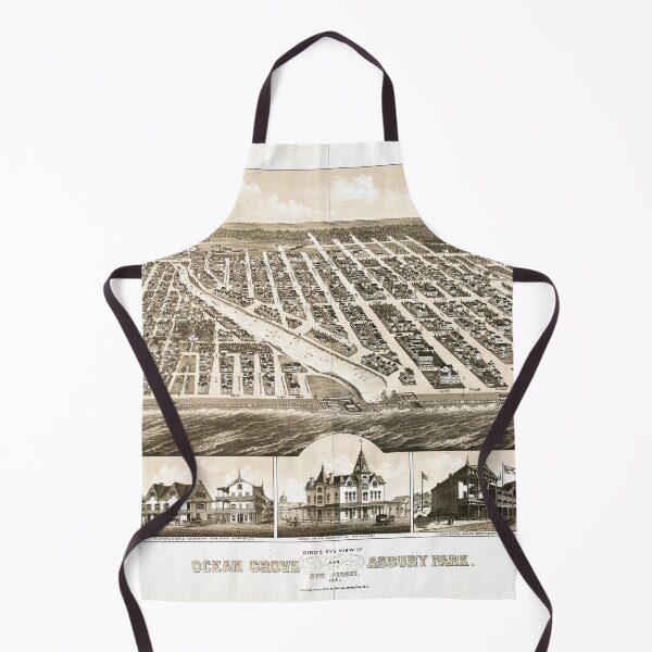 Item preview, Ocean Grove & Asbury Park, New Jersey (1881) designed and sold by allhistory.