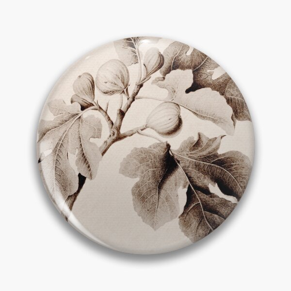 Item preview, Fig fruit vintage botanical illustration print in beige colors. designed and sold by helga-wigandt.