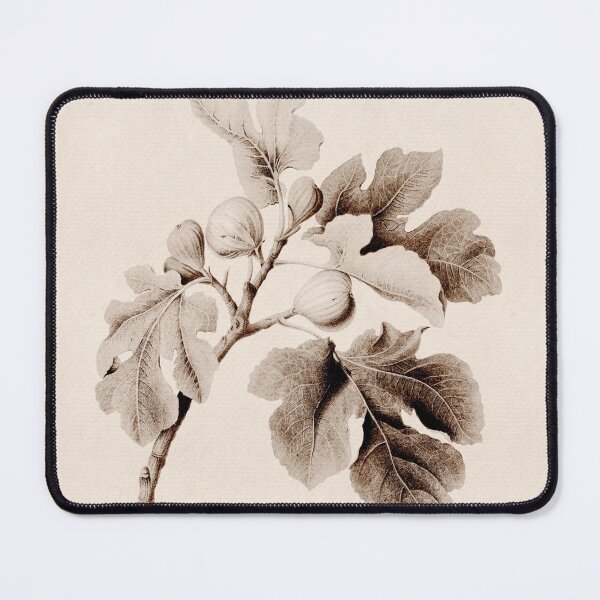 Item preview, Fig fruit vintage botanical illustration print in beige colors. designed and sold by helga-wigandt.