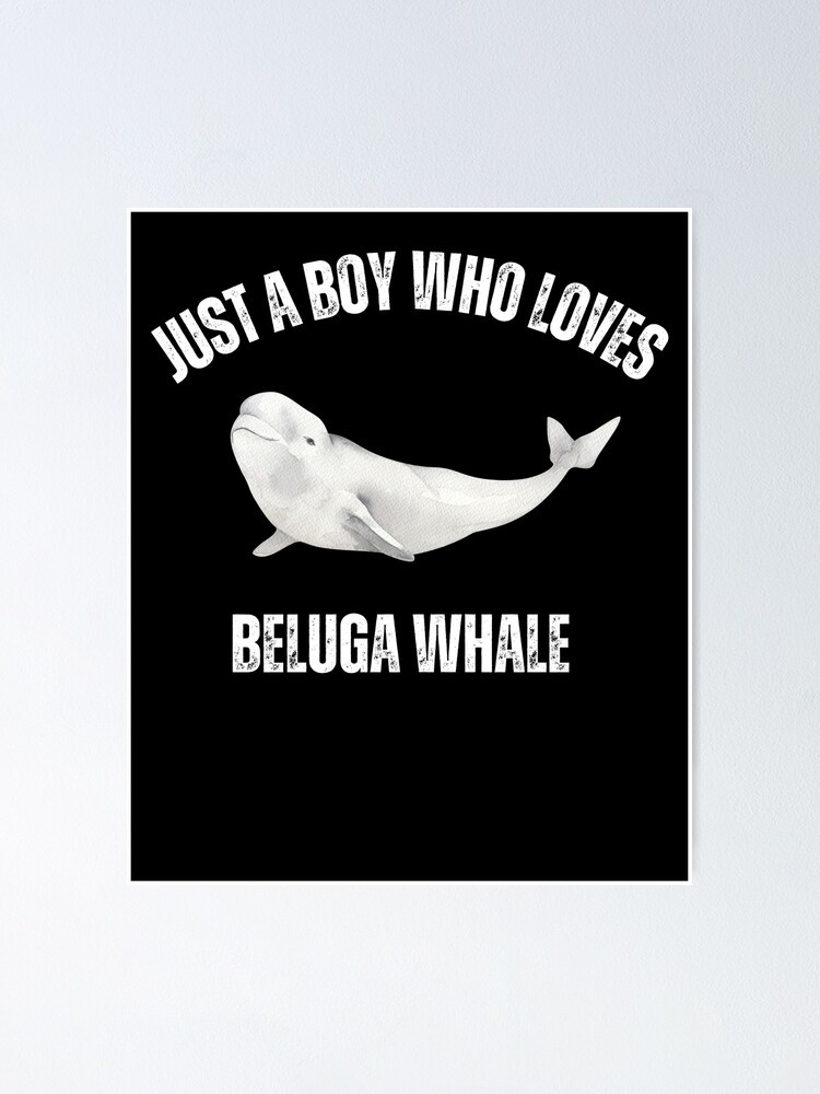  Just A Boy Who Loves Beluga Cat T-Shirt : Clothing