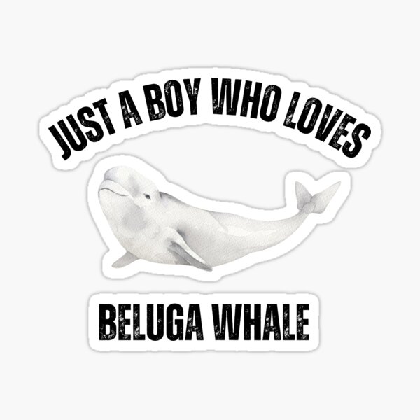  Just A Kid Who Loves Beluga Cat Pullover Hoodie