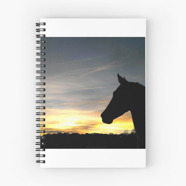 Item preview, Silhouette designed and sold by GhostHorsePhoto.